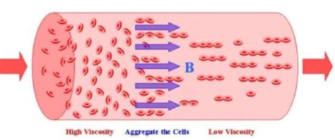 how is blood thickness measured|how to check blood viscosity.